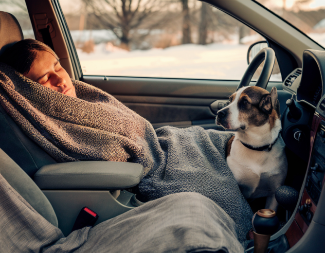 Paws Of Purpose - Volunteers - Picture Of A Homeless Man Sleeping In HIs Car With His Dog - PawsOfPurpose.com
