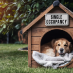 How Spaying And Neutering Saves Lives