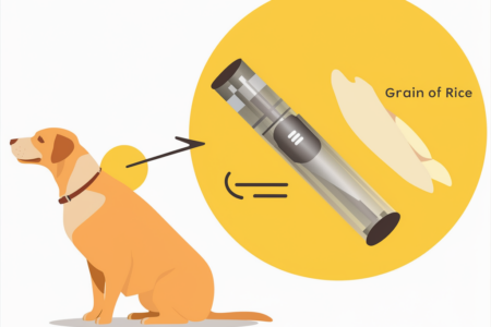 Microchips