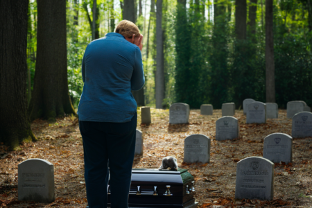 Pet Burial