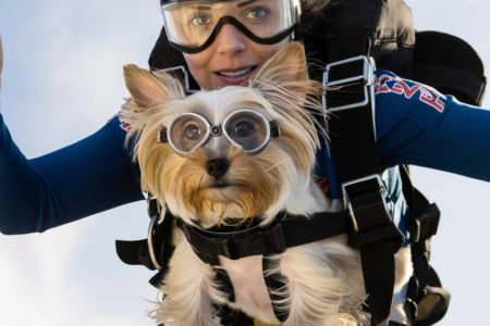 Pet Friendly Activities