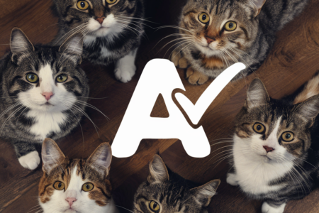 Pet Sitting Reviews