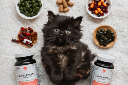 Pet Supplements
