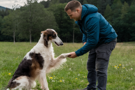 Pet Training Classes