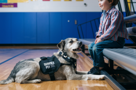 Service Pets