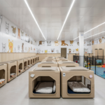 10 Reasons Why Pet Shelters Need Our Help