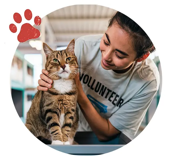Paws Of Purpose - Shelter Volunteer - Picture Of A Shelter Volunteer With A Cat - PawsOfPurpose.com